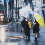 そろそろ梅雨明け